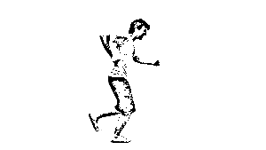 vini-runner